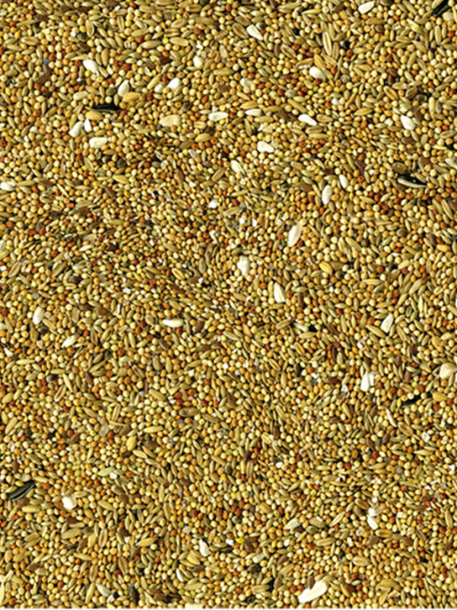 Mélange de graines Basic grandes perruches 20kg Vadigran