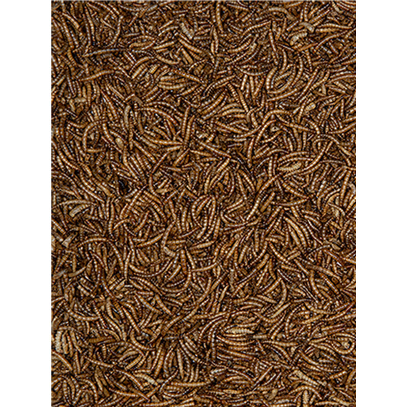 Vers de farine 1kg Emma's Garden