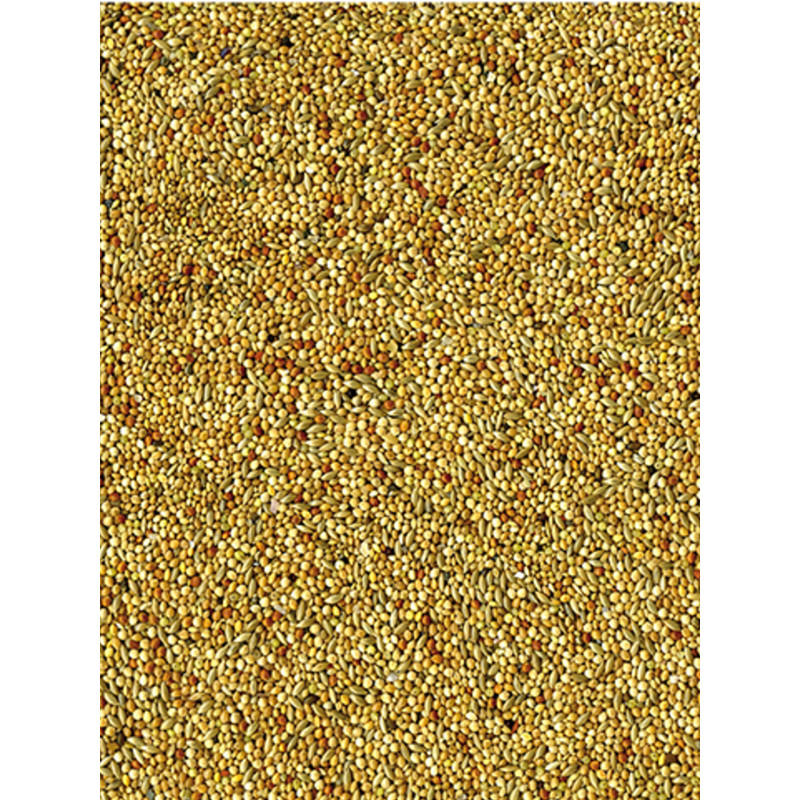 Mélange de graines Basic oiseaux exotiques 20kg Vadigran
