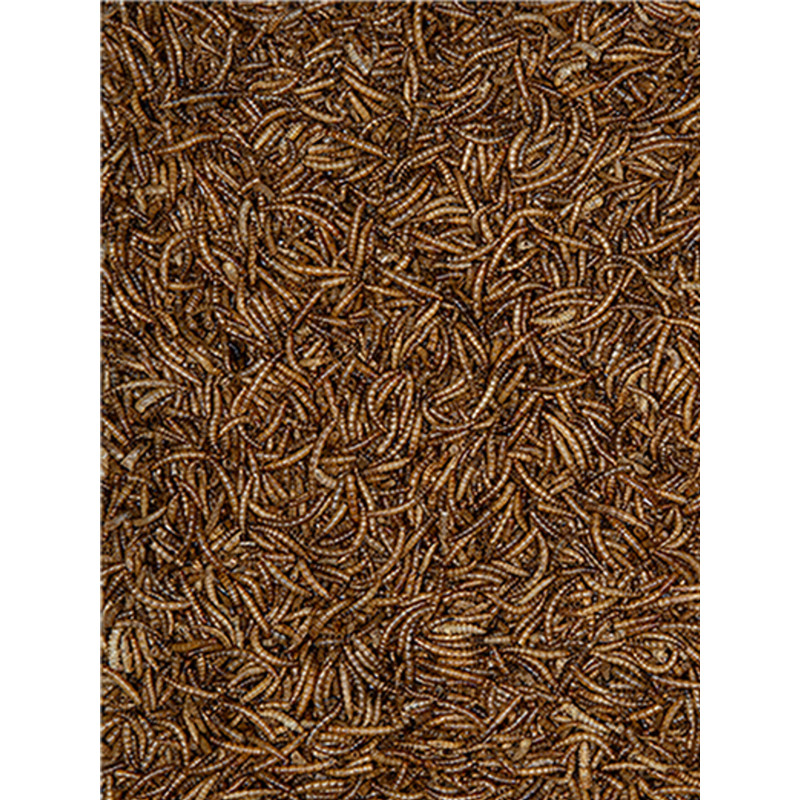 Vers de farine 300g Emma's Garden