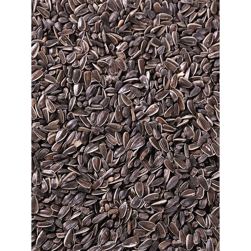 Graines de tournesol Mix 8kg Emma's Garden