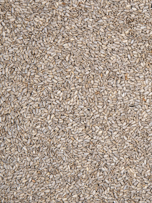 Coeurs de tournesol 3.25kg Emma's Garden