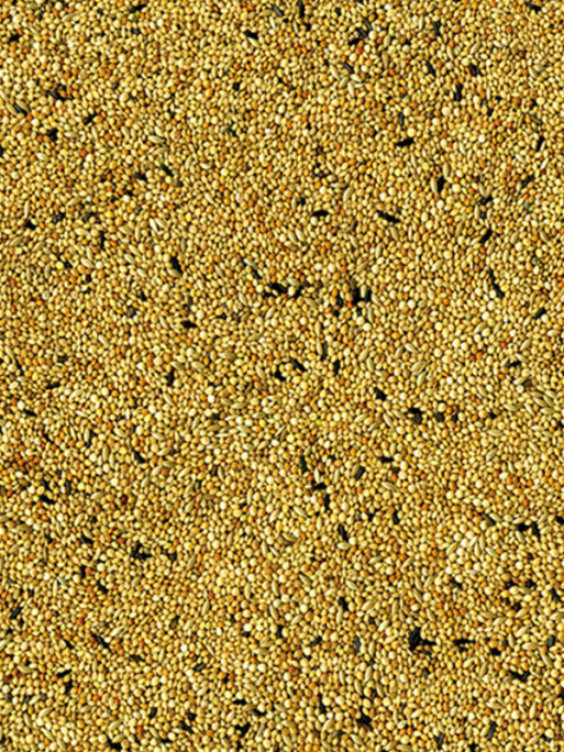 Mélange de graines Original oiseaux exotiques 20kg Vadigran
