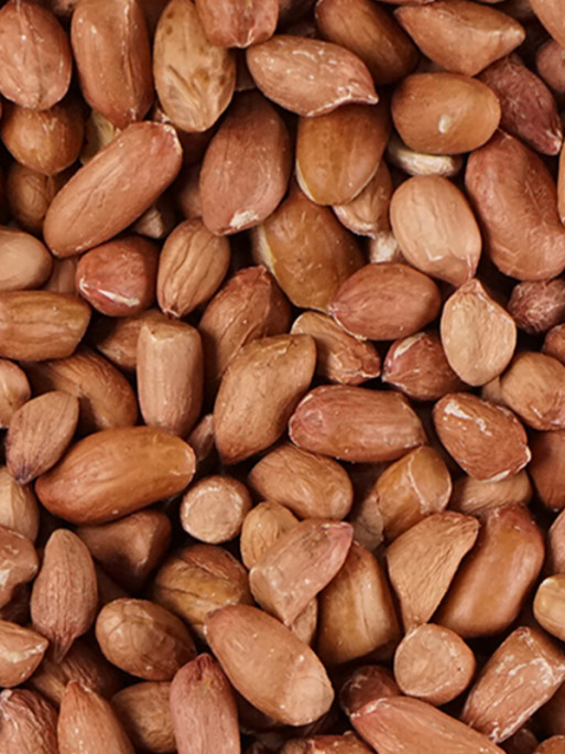 Arachides pelées 1.1kg Emma's Garden