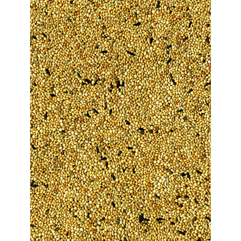 Mélange de graines Original oiseaux exotiques 4kg Vadigran