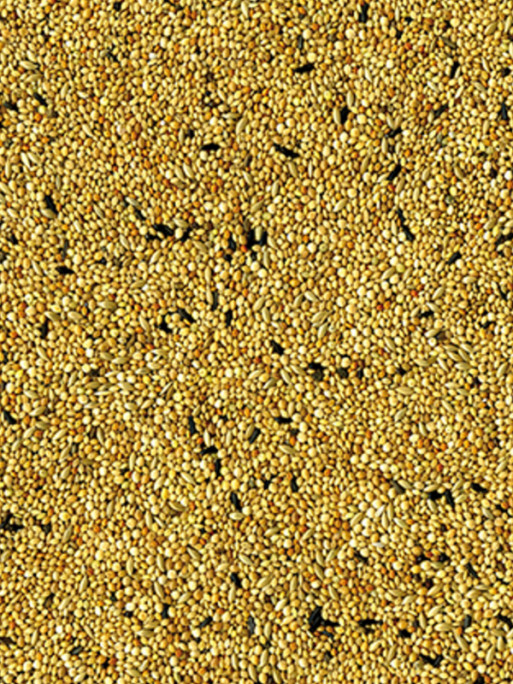 Mélange de graines Original oiseaux exotiques 4kg Vadigran