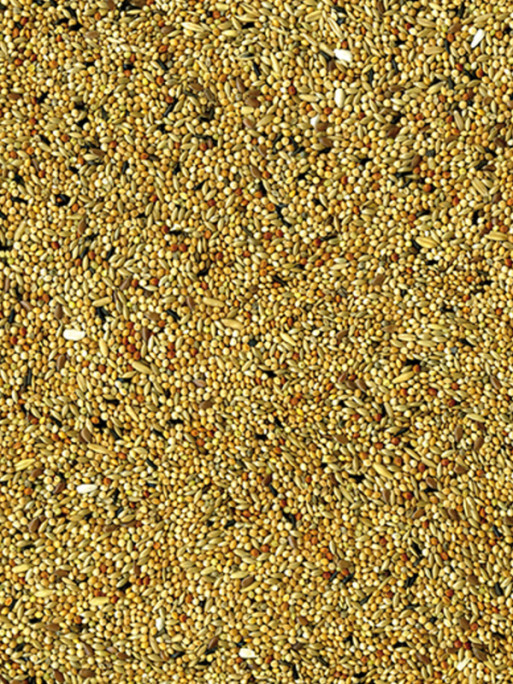 Mélange de graines Original perruches 20kg Vadigran