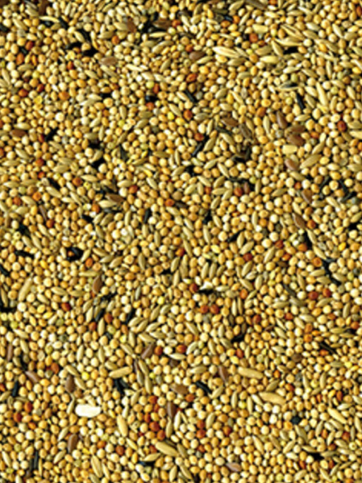Mélange de graines Original perruches 1kg Vadigran