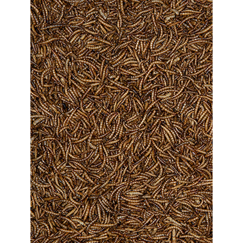 Vers de farine 3kg Emma's Garden