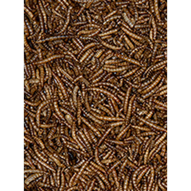 Vers de farine 4.5kg Emma's Garden