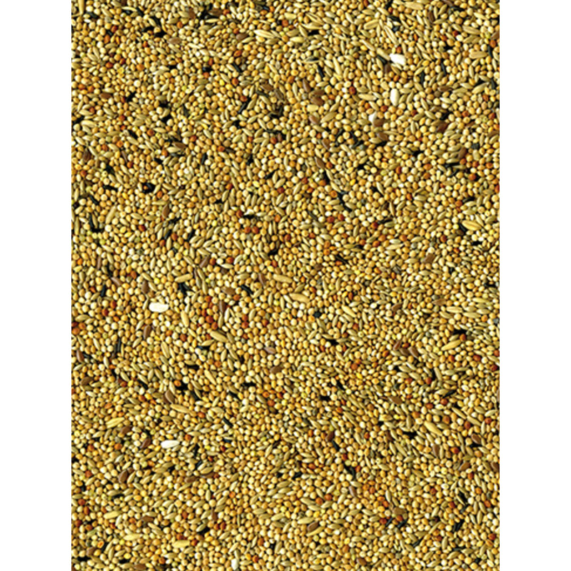 Mélange de graines Original perruches 4kg Vadigra