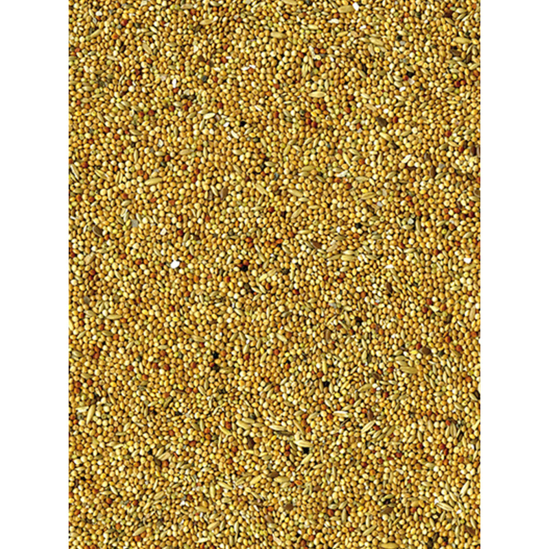 Mélange de graines Basic perruches 20kg Vadigran