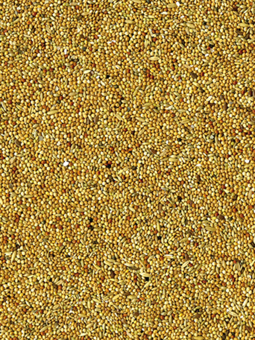 Mélange de graines Basic perruches 20kg Vadigran