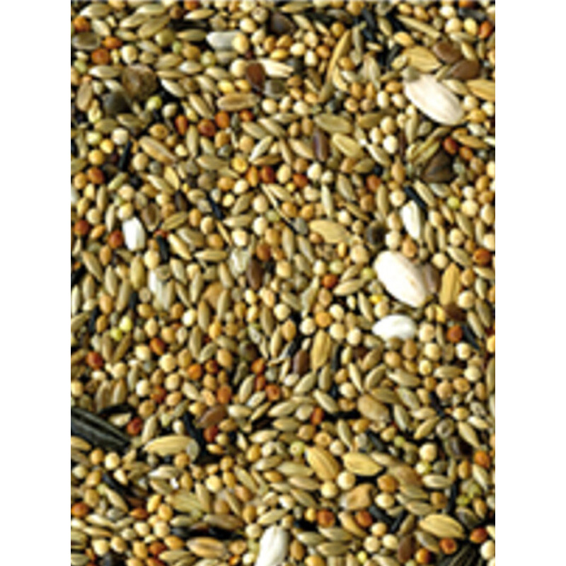 Graines Original grandes perruches 20kg Vadigran