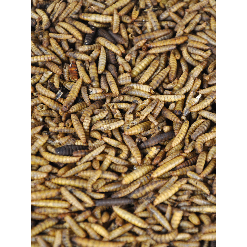 Vers de calci 275g Emma's Garden