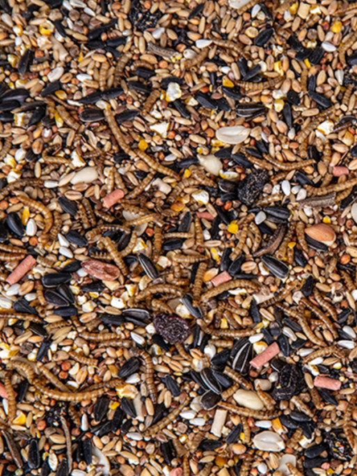 Mélange de graines Insect & Fruit Mix 1.1kg Emma's Garden
