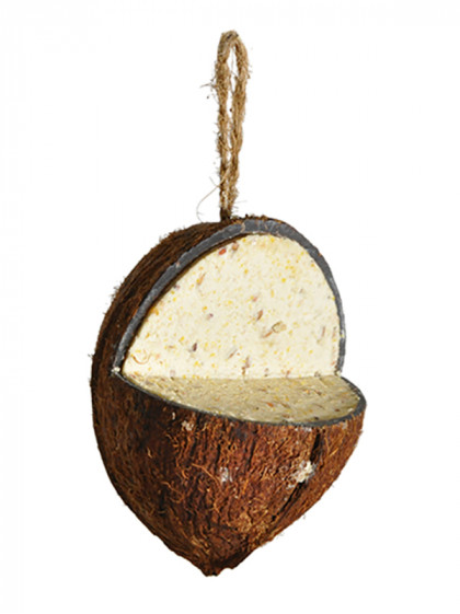 Noix de coco 3/4 Classic Emma's Garden