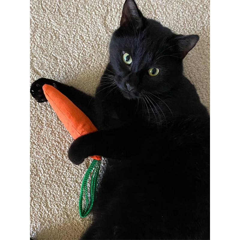 Jouet carotte 26cm King Catnip