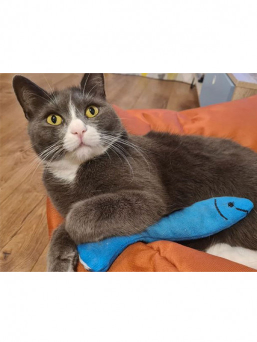Jouet sardine 19.8cm King Catnip