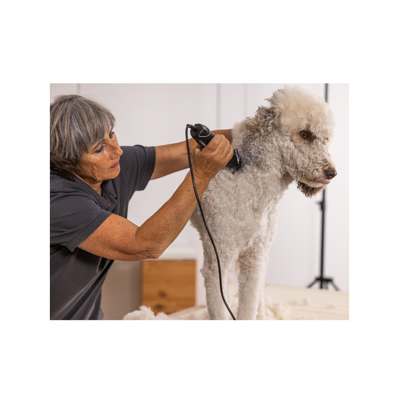 Tondeuse Max50+ Wahl