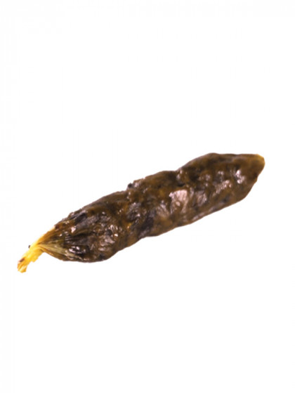 Saucisse de dinde 6cm vrac Vadigran