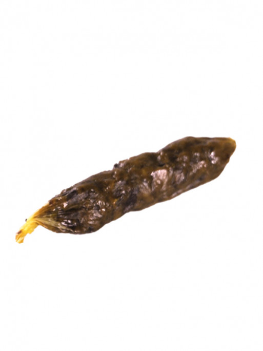 Saucisse de dinde 6cm vrac Vadigran