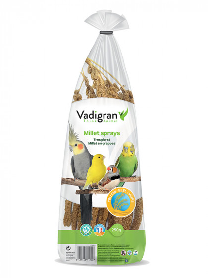 Millet français en grappes jaunes 250g Vadigran