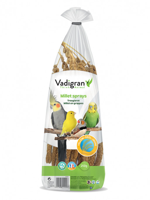 Millet français en grappes jaunes 250g Vadigran