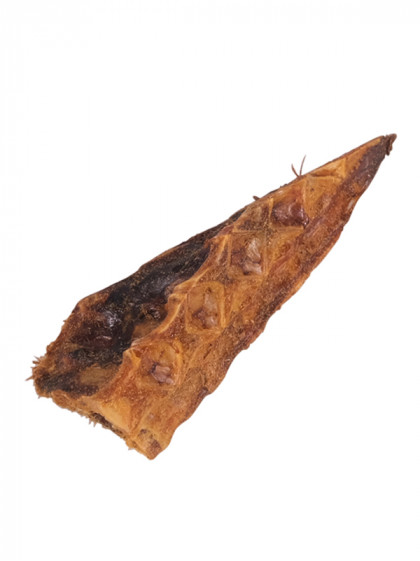 Os de thon 13cm vrac Vadigran
