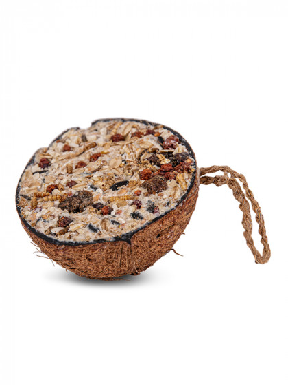 Demi noix de coco Granola 200g Emma's Garden