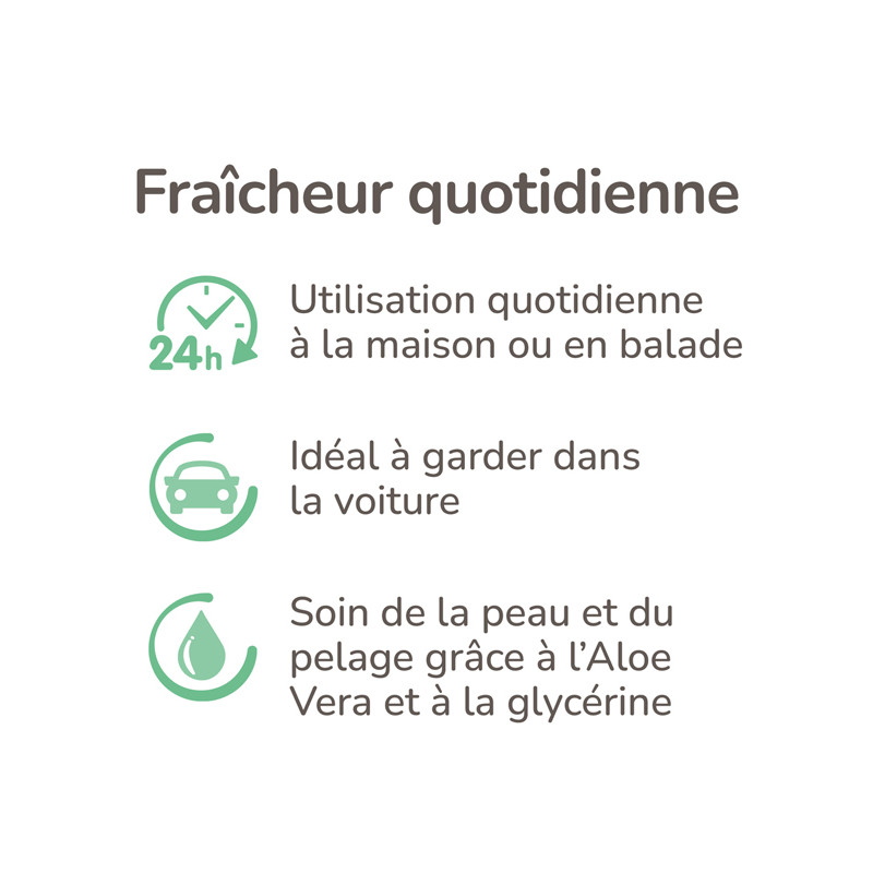 Spray chien mouillé 250ml Beaphar