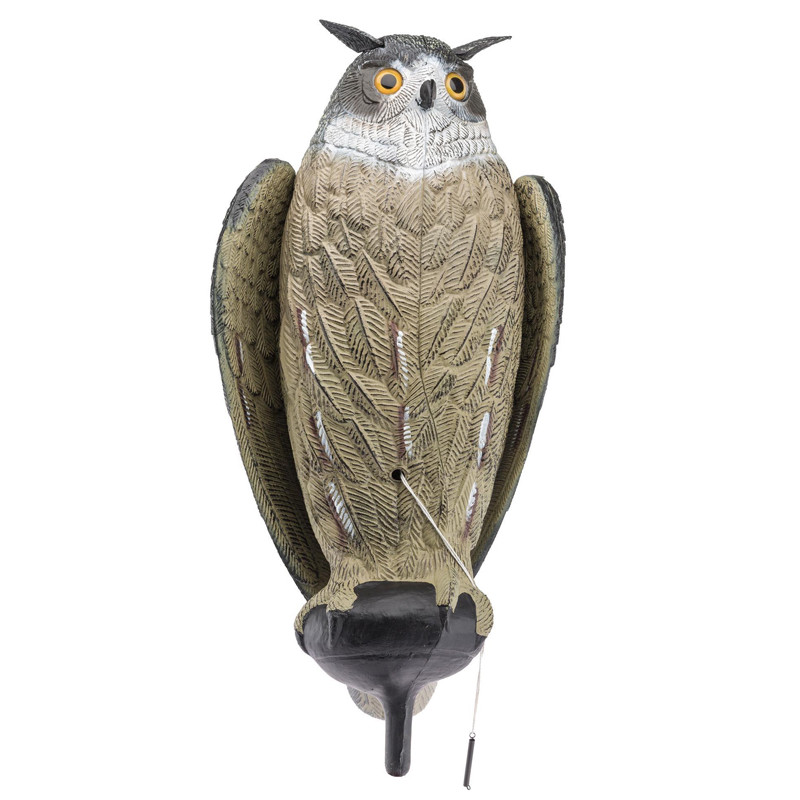 Appelant Grand Duc ailes battantes