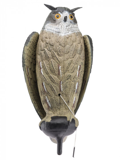 Appelant Grand Duc ailes battantes