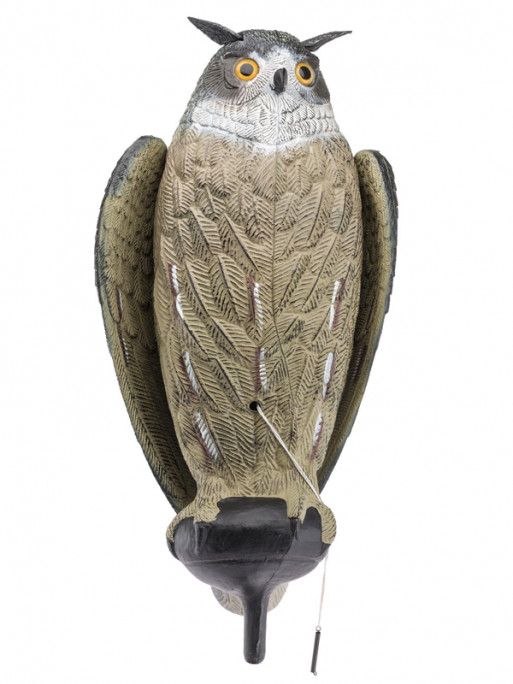 Appelant Grand Duc ailes battantes