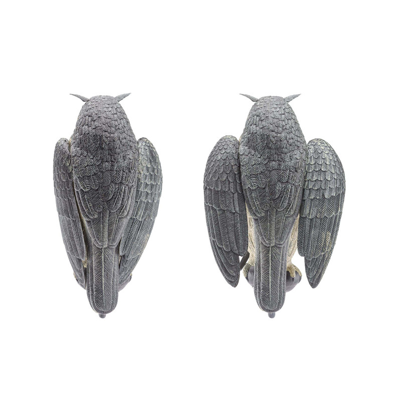 Appelant Grand Duc ailes battantes
