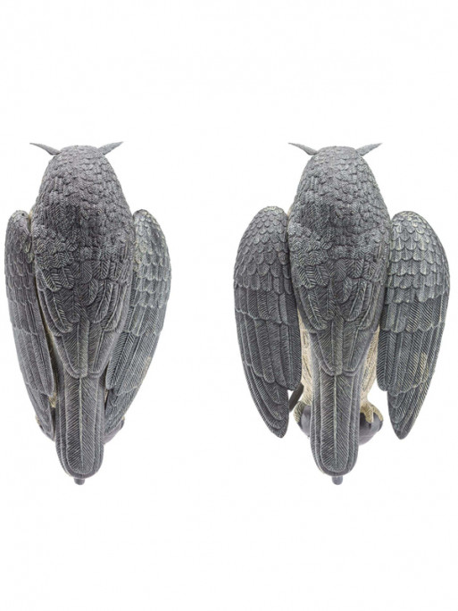 Appelant Grand Duc ailes battantes