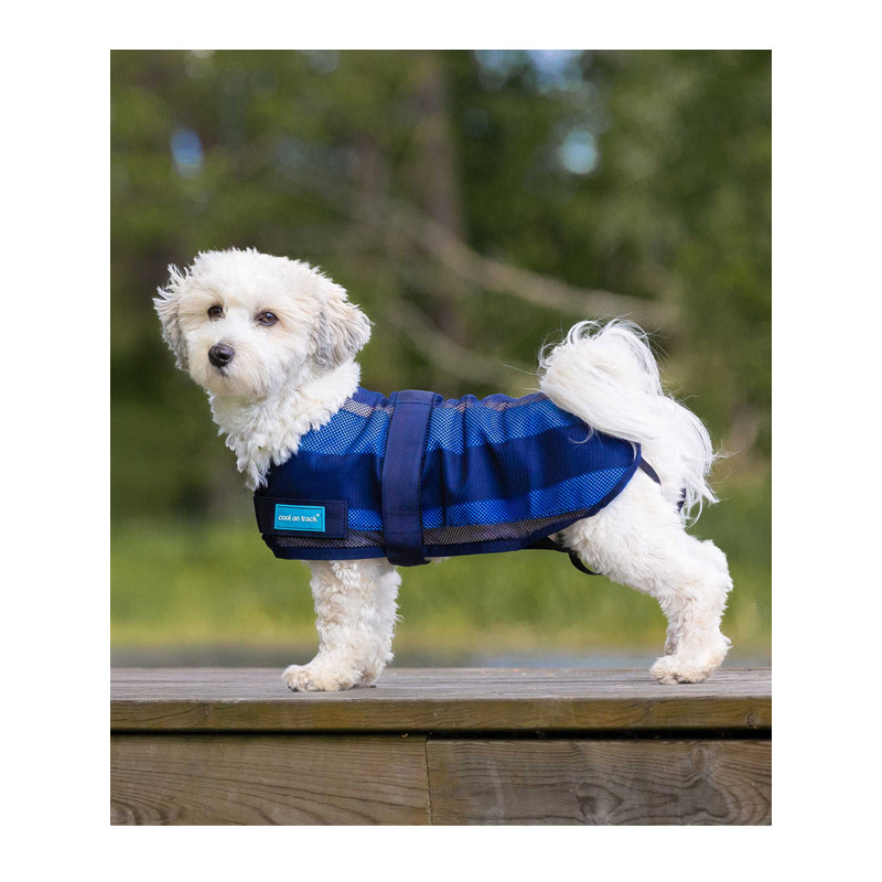 Manteau rafraîchissant chien Cool on Track 2.0 Back On Track