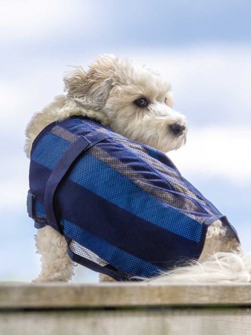 Manteau rafraîchissant chien Cool on Track 2.0 Back On Track