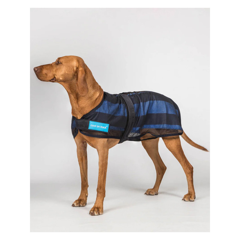 Manteau rafraîchissant chien Cool on Track 2.0 Back On Track