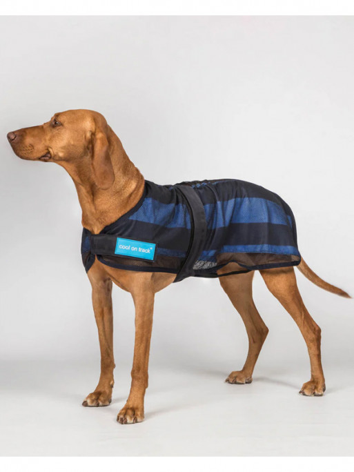 Manteau rafraîchissant chien Cool on Track 2.0 Back On Track