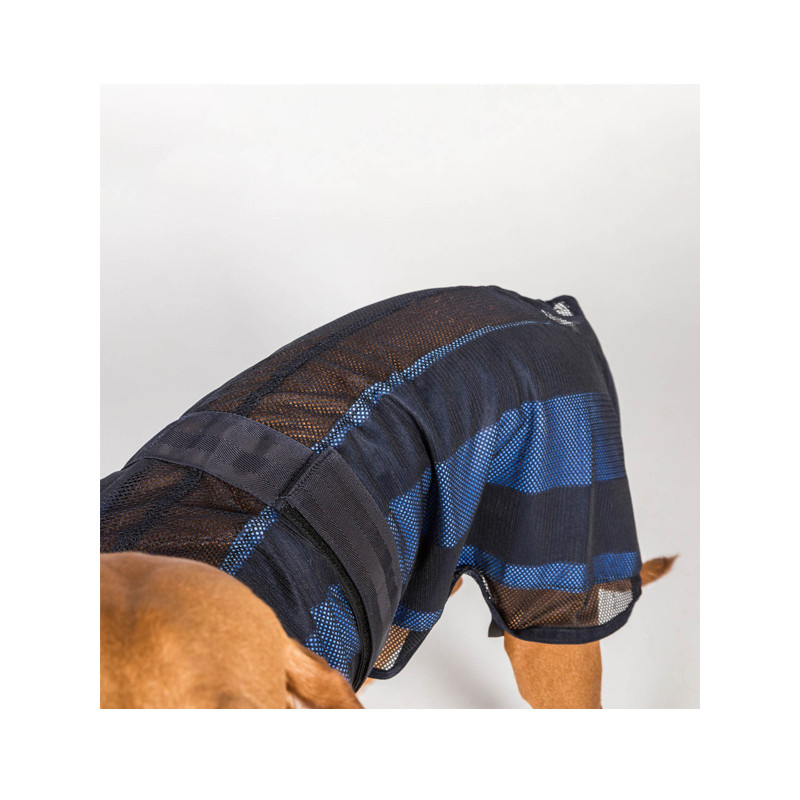 Manteau rafraîchissant chien Cool on Track 2.0 Back On Track
