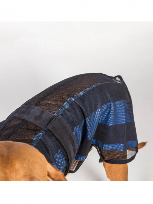 Manteau rafraîchissant chien Cool on Track 2.0 Back On Track