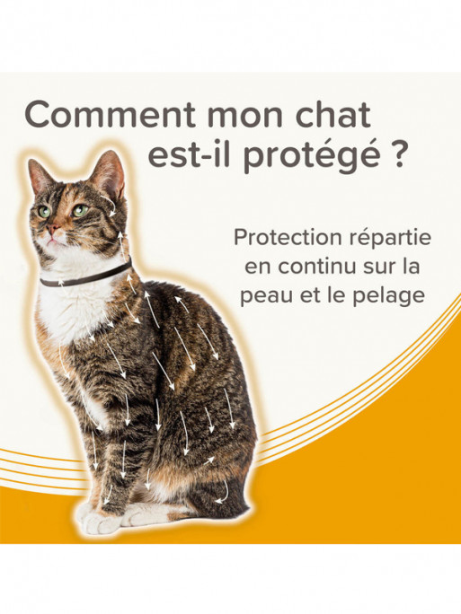 Collier médicamenteux 1.25g + 056g chat Beaphar