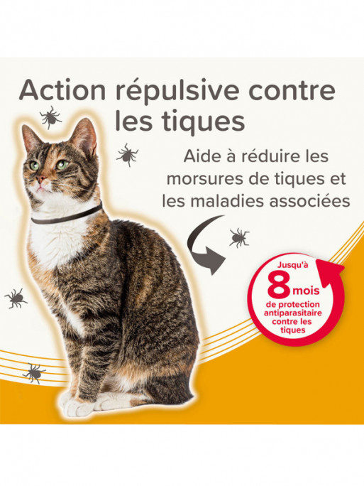 Collier médicamenteux 1.25g + 056g chat Beaphar