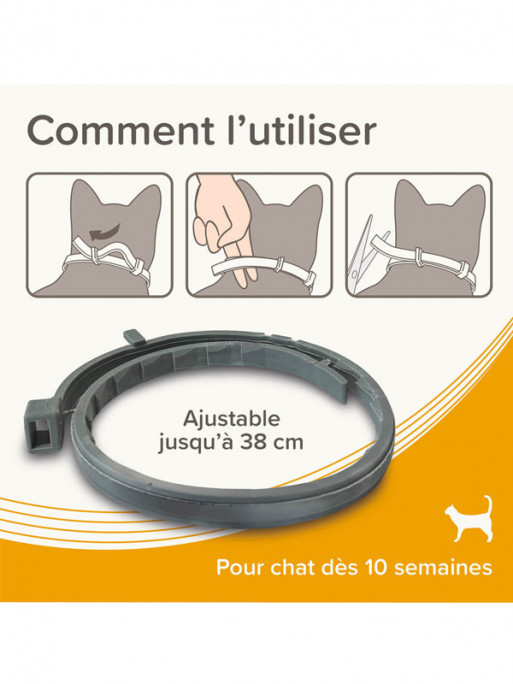 Collier médicamenteux 1.25g + 056g chat Beaphar