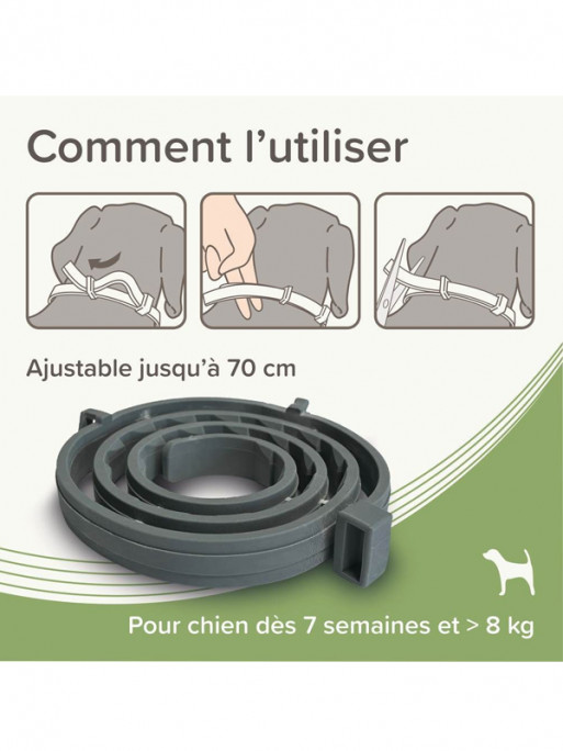 Collier médicamenteux 4.5g + 2.03g chien Beaphar