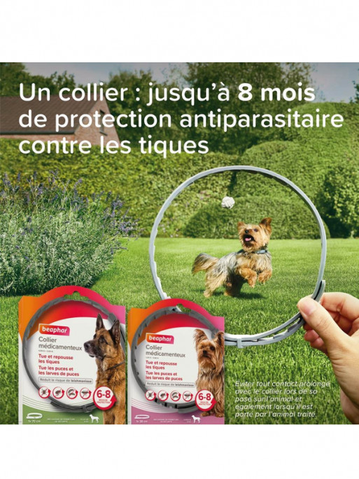 Collier médicamenteux 4.5g + 2.03g chien Beaphar