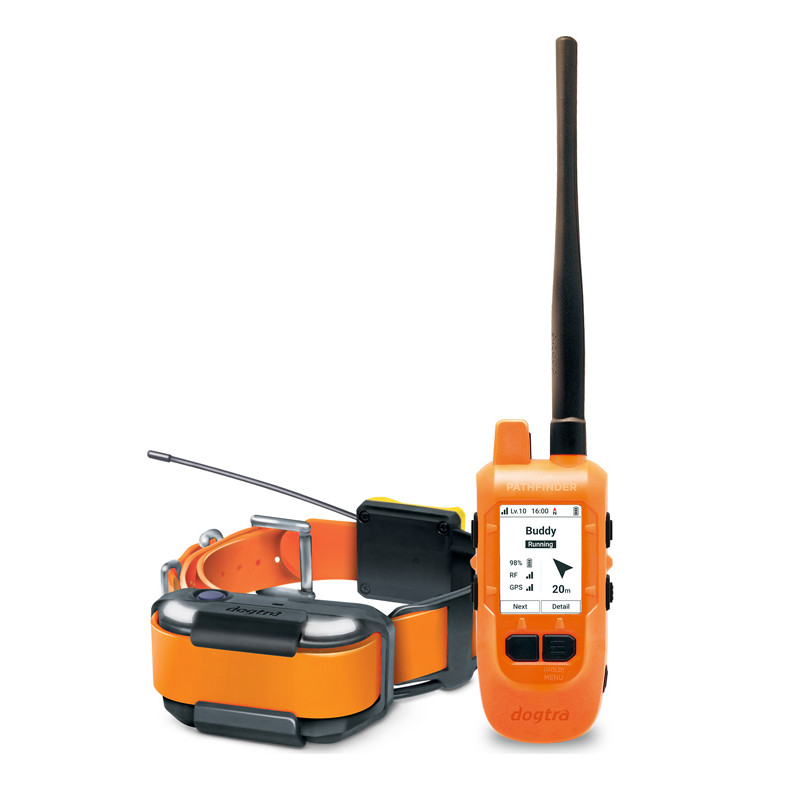 Pack de dressage et repérage Pathfinder 2 Compass Dogtra