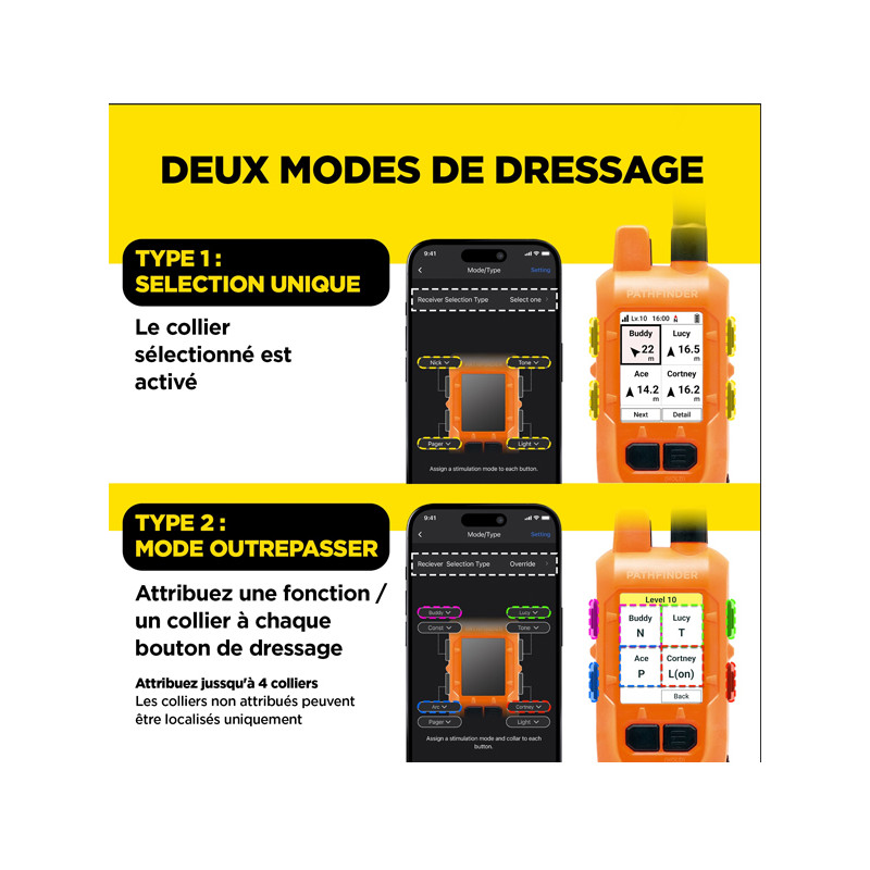 Pack de dressage et repérage Pathfinder 2 Mini Compass Dogtra