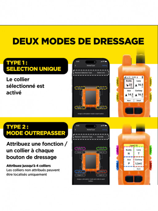 Pack de dressage et repérage Pathfinder 2 Mini Compass Dogtra